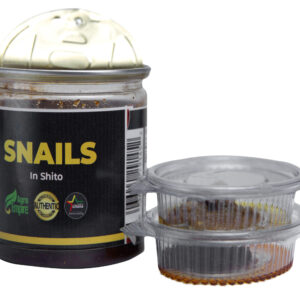Alternative view of SNAILS IN SHITO