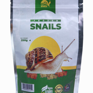 FROZEN SNAILS